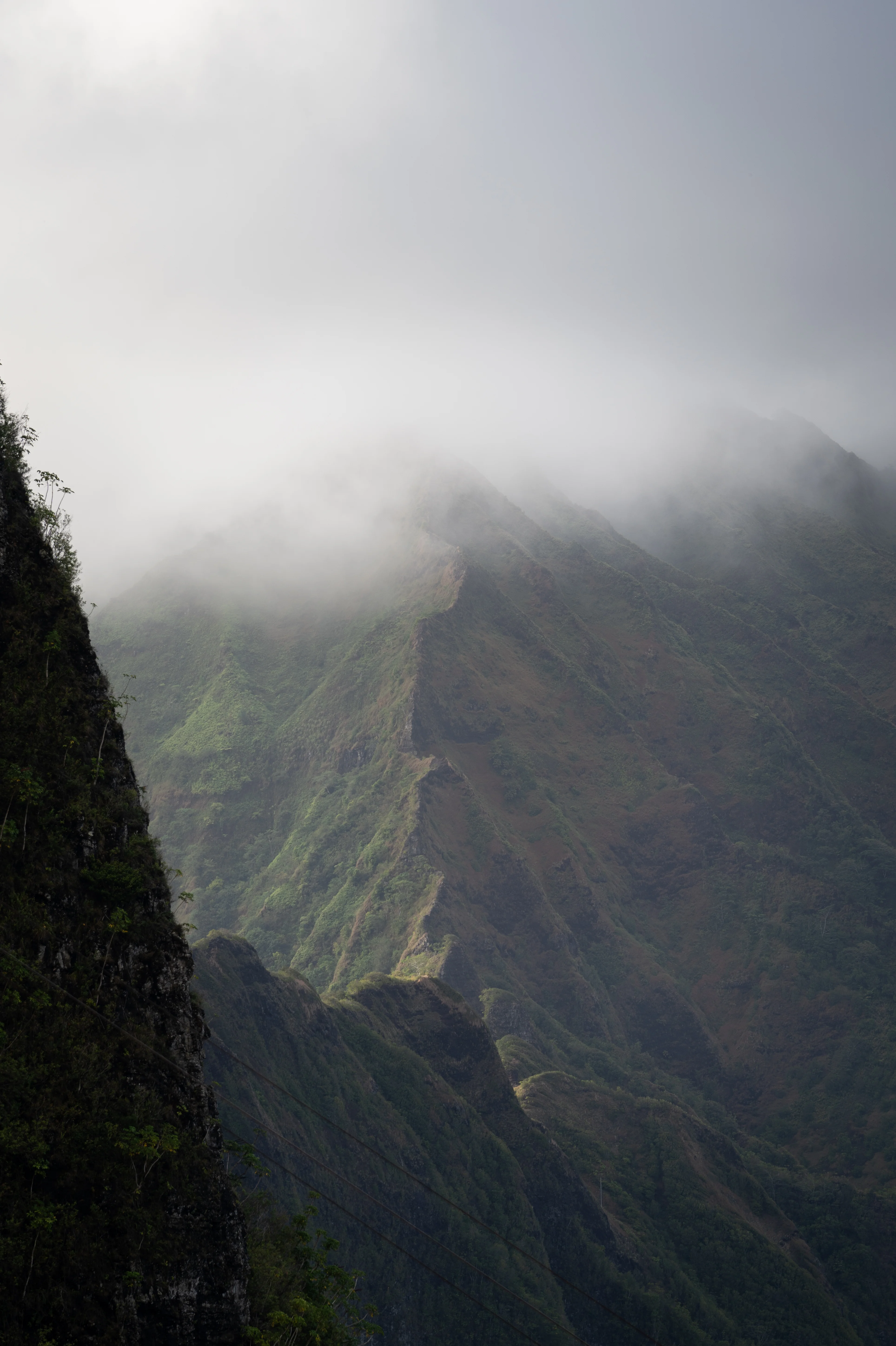 Outdoor photograph 2