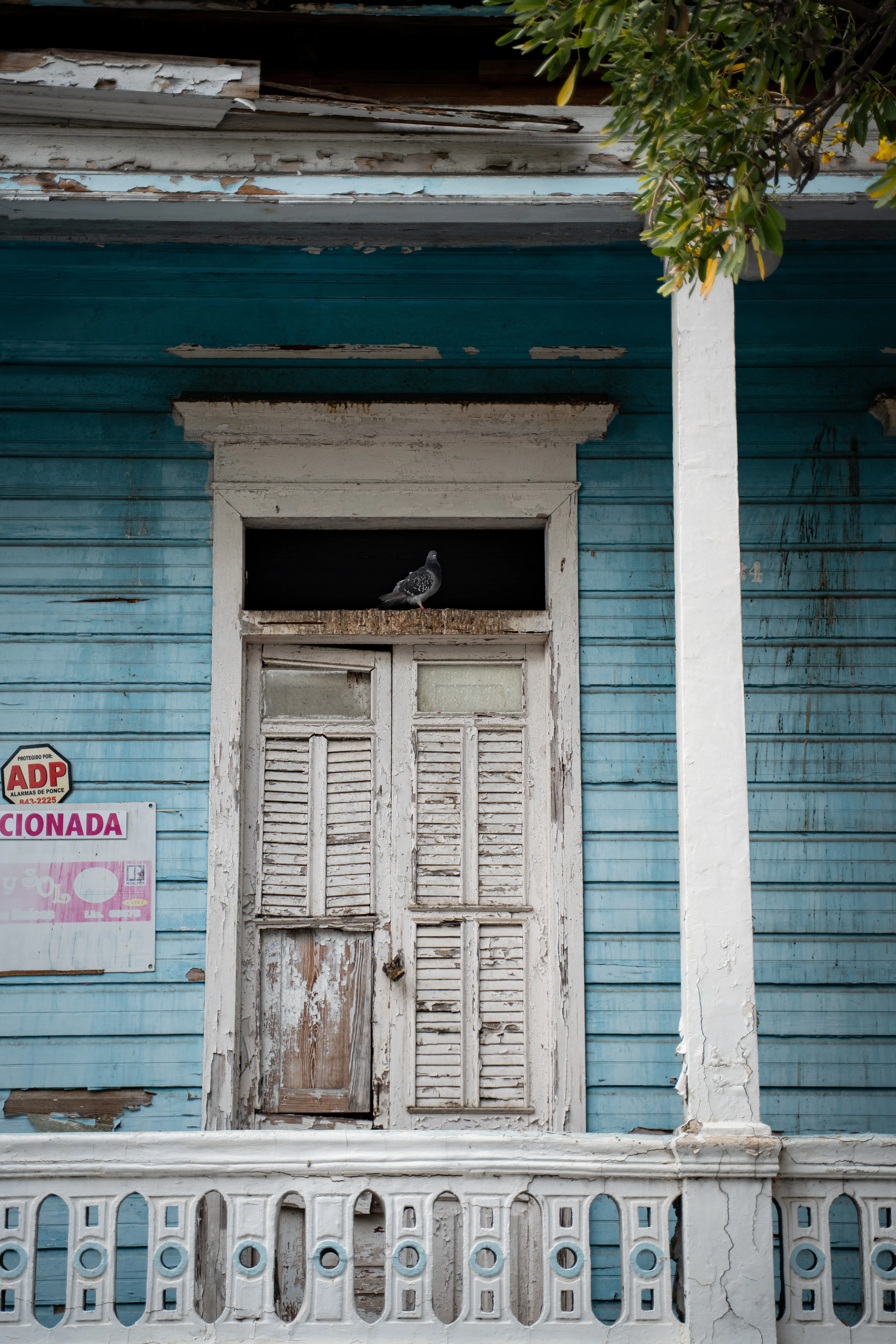 Street photograph 5
