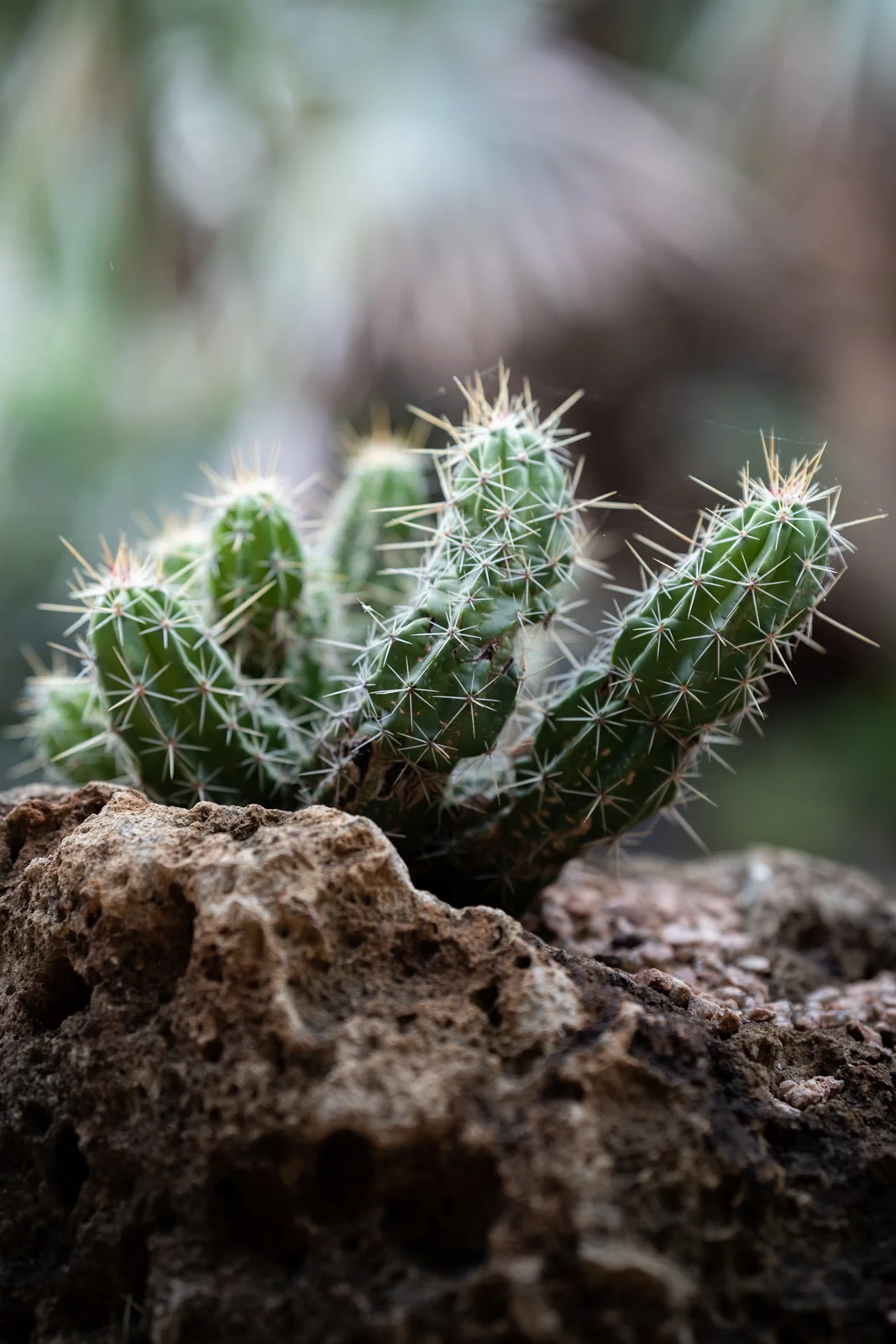 Outdoor photograph 9