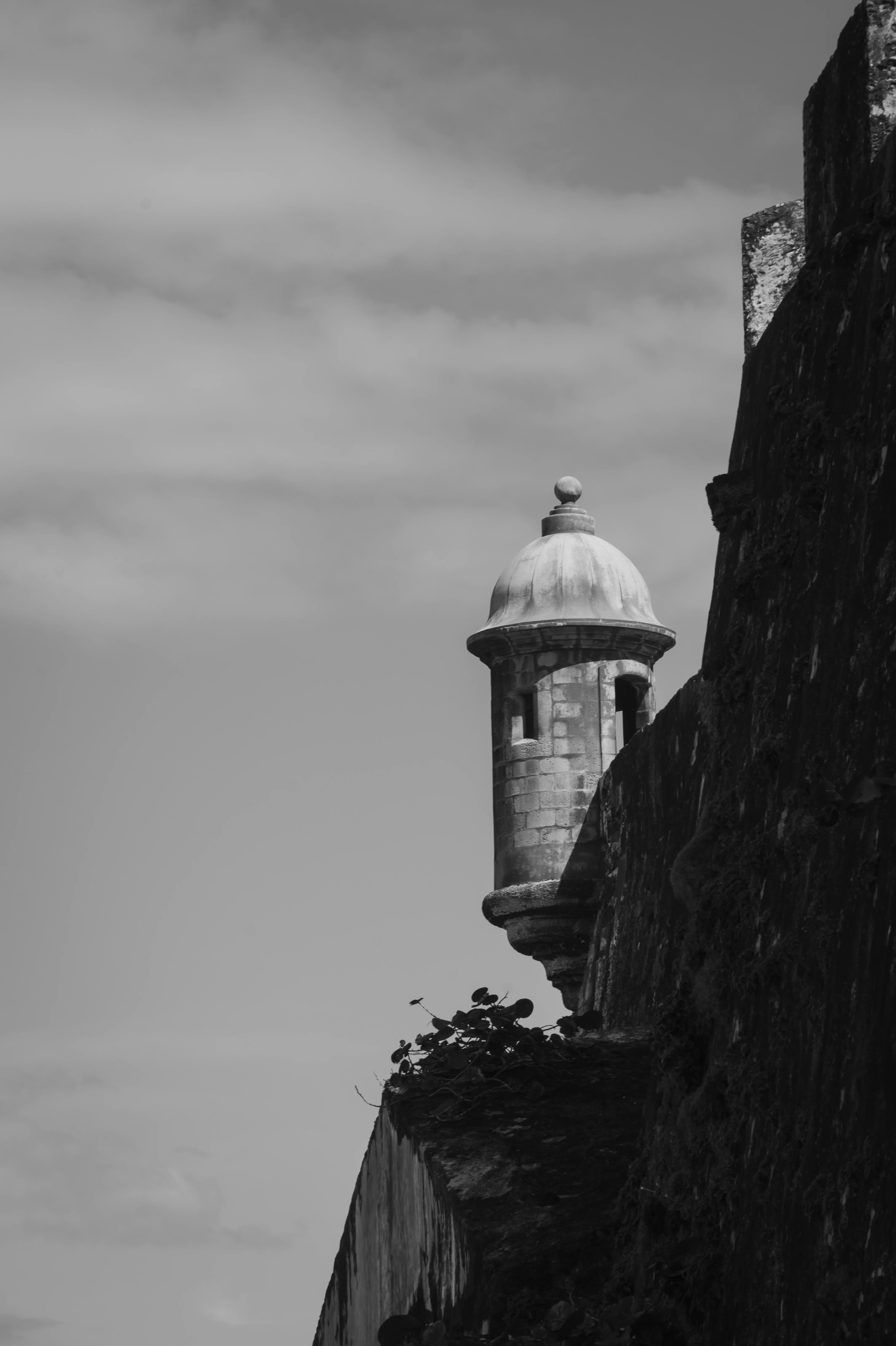 Street photograph 11