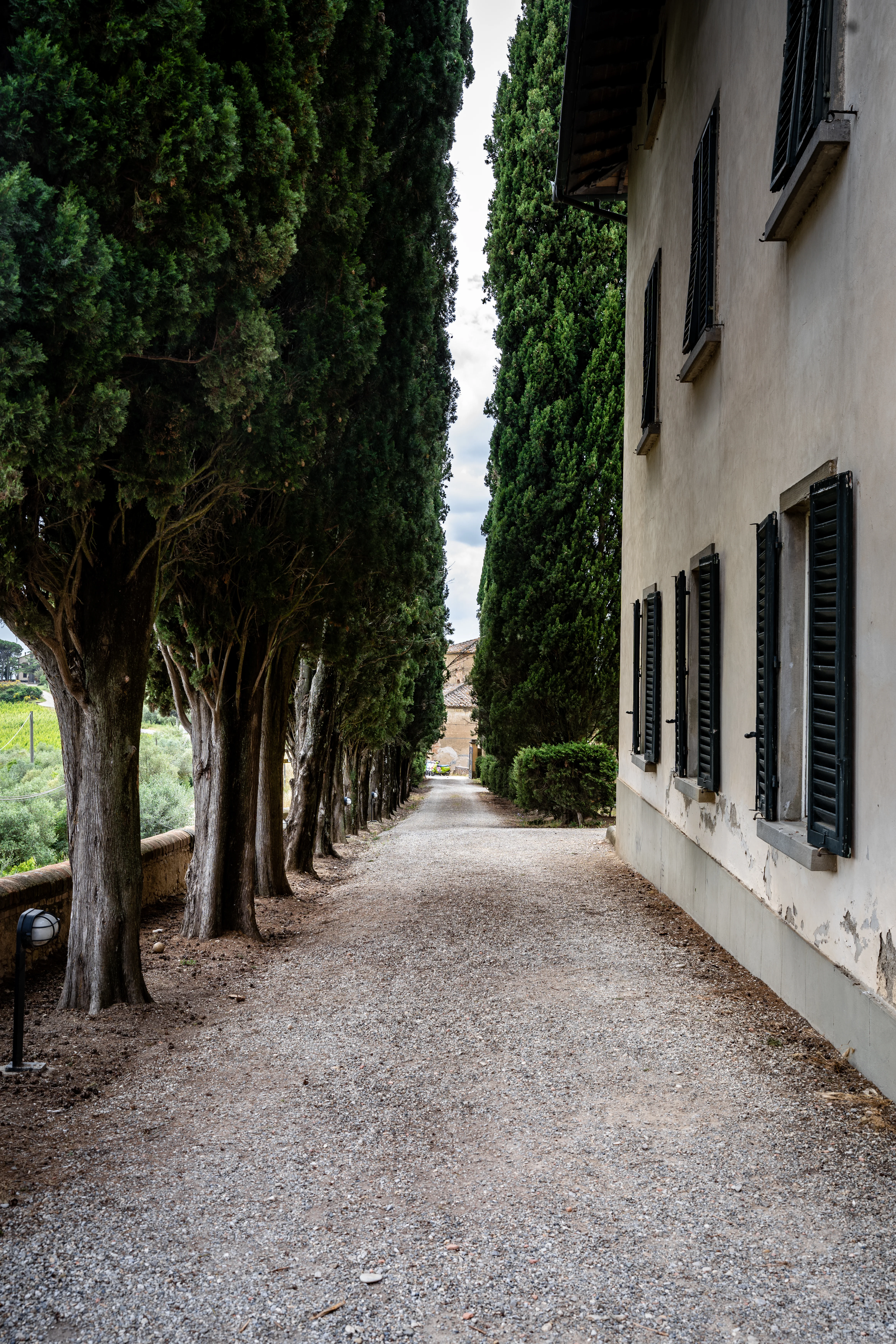 Street photograph 13