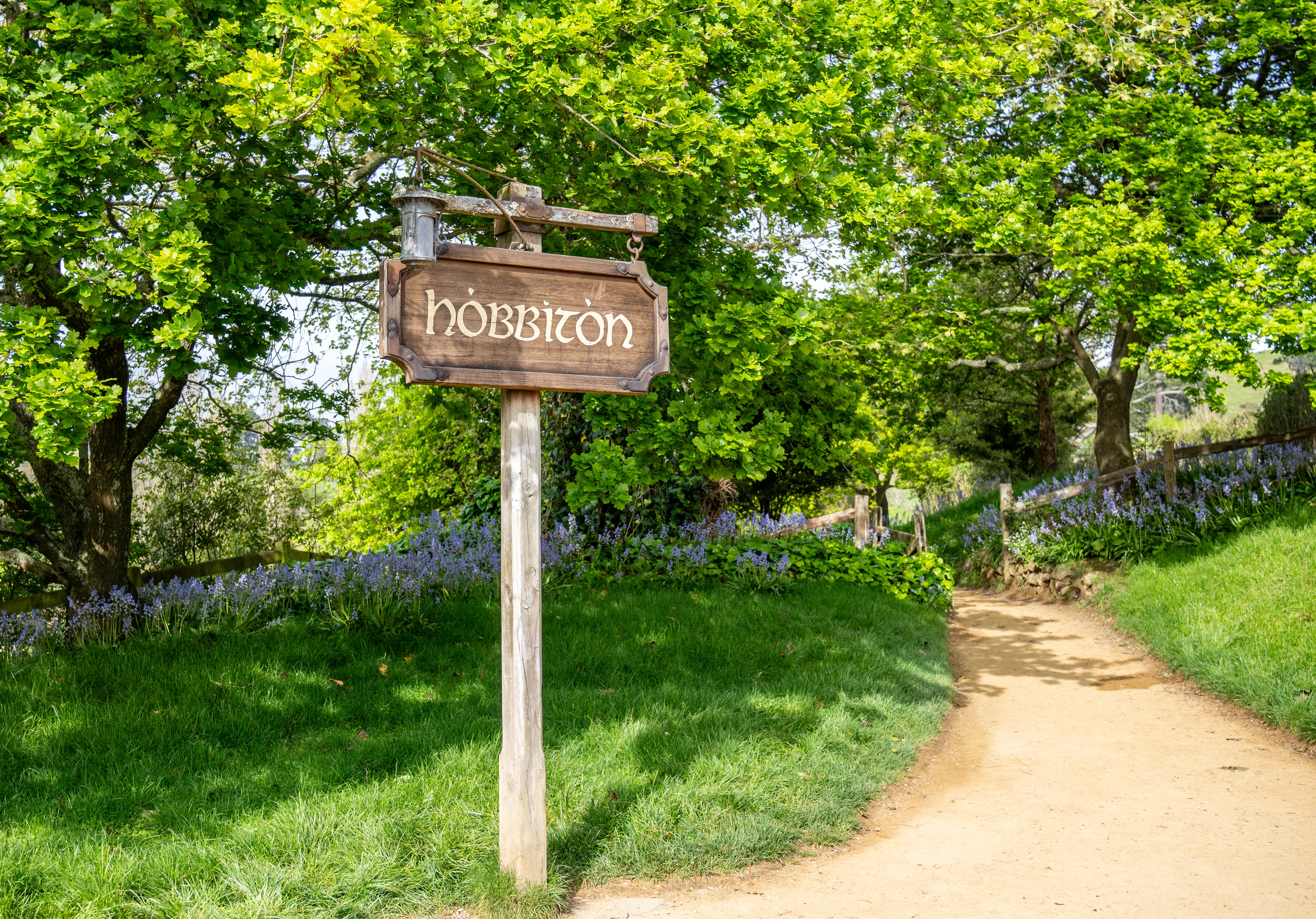 Outdoor photograph 15